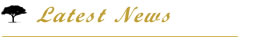 Latest News